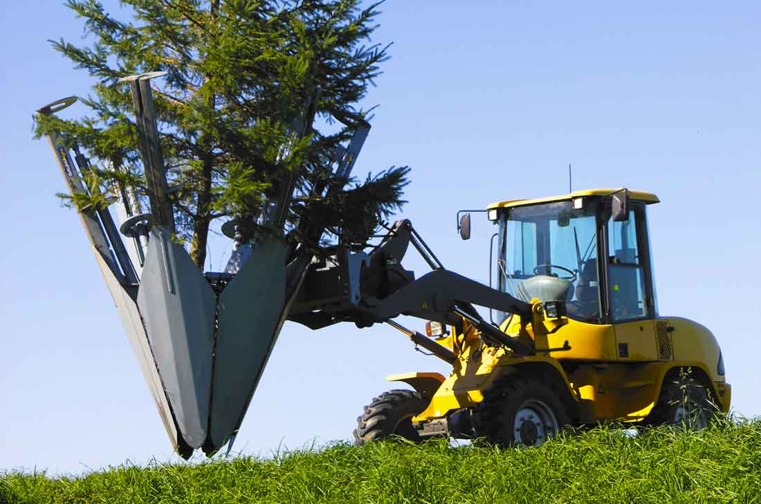 Baumalight ST650 six-blade tree spade lifting a tree and root ball on a wheeled loader