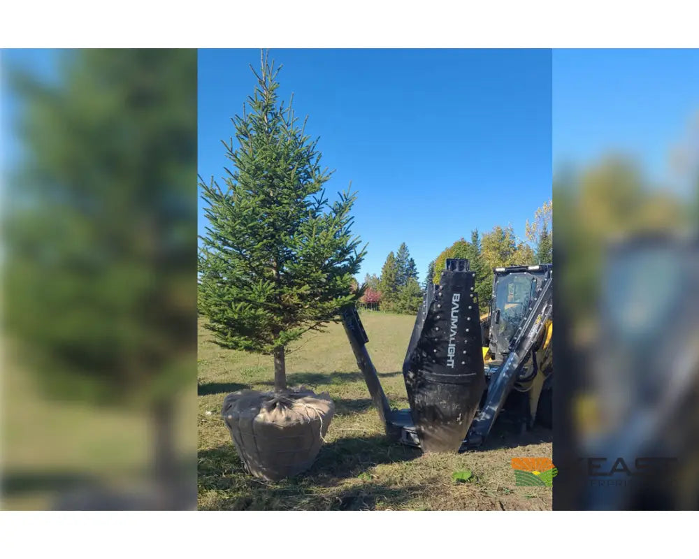 Baumalight DR438 38’’ Industrial Skid Steer Tree Spade - Electric Controls 4-Blade Semi-Truncated Design Tree Spades