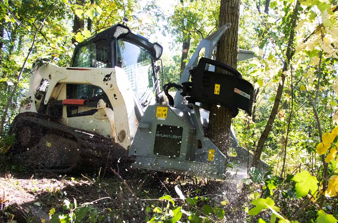 Baumalight FGS952 feller buncher cutting and holding a tree on a tracked skid steer
