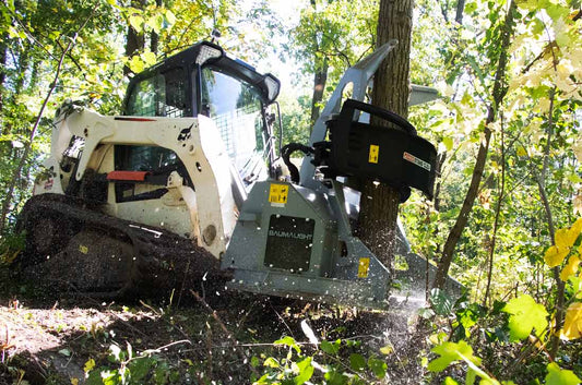 Baumalight FGS952 feller buncher cutting and holding a tree on a tracked skid steer