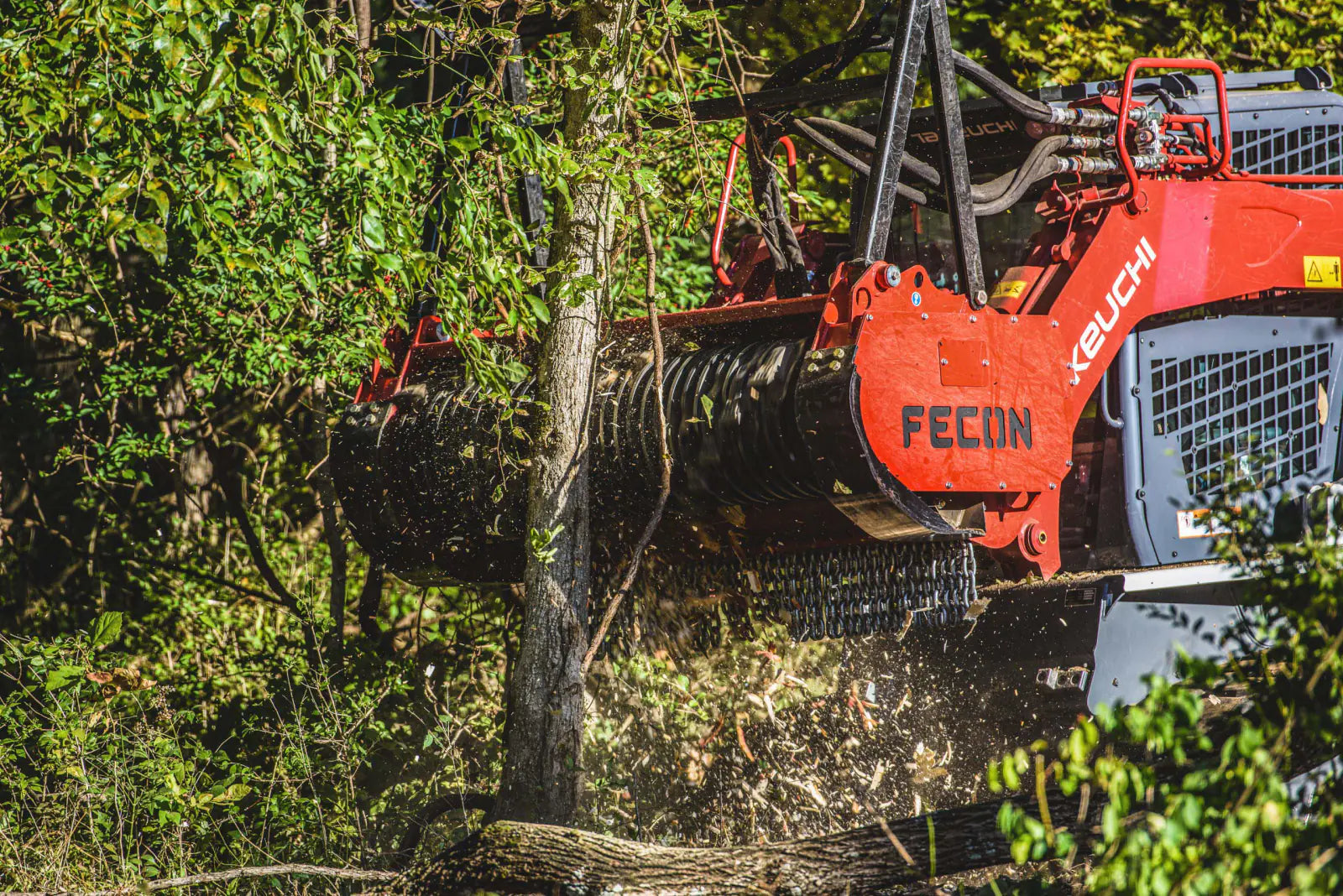 Red Fecon BH74SS Bull Hog mulching head clearing a tree